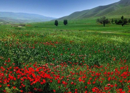 طبیعت زیبای یاسوج