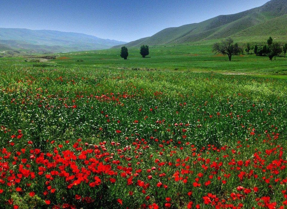 طبیعت زیبای یاسوج