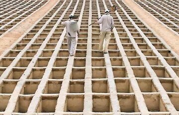 اعلام آمار مرگ و میرهای امسال/ زنان یا مردان،‌کدام بیشتر فوت کردند؟