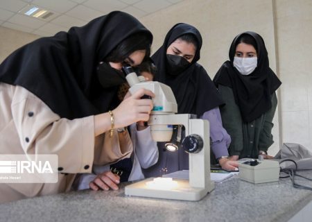 حضور ۵۵۷ بانوی پژوهشگر ایرانی در میان پژوهشگران پُر استناد