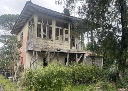 ‌پرونده ثبت ملی باغ هشت هکتاری رامسر در هزارتوی فرآیندهای اداری