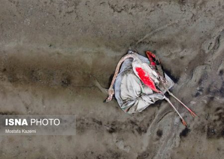 تالاب‌هایی بدون آب