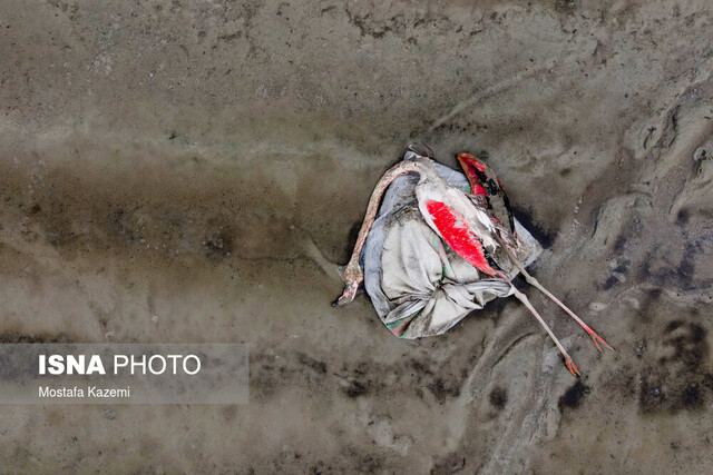 تالابهایی بدون آب