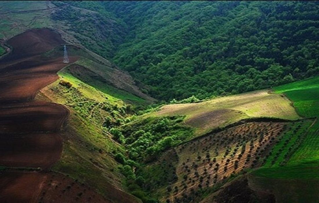 هیرکانی، زخمی از خنجرهای پیاپی