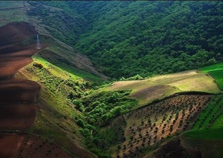 هیرکانی، زخمی از خنجرهای پیاپی