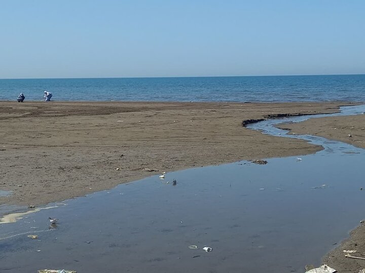 شرنگ شیرابه در کام خزر/ میلیون‌ها مسافر به شوق شنا از راه می‌رسند