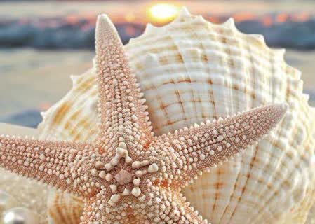 هشدار سیستم ایمنی بدن