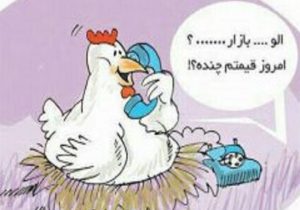 مرغ، ساز جدایی کوک کرد